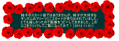 q̃XJ[gpł͂܂񂪁AqD MK̃v[c~jXJ[goĂ܂B ƂĂ̂ŉ摜Rs[Ă܂B SNbNĂɂȂĂ݂āIm2012.11.01n