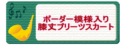 ボーダー模様入り膝丈プリーツスカート