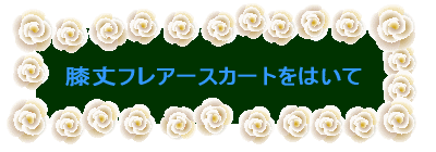 �G��t���A�[�X�J�[�g���͂��� 