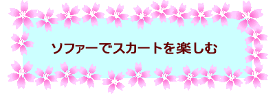 �\�t�@�[�ŃX�J�[�g���y����