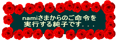 nami���܂���̂����߂�  ���s���鏃�q�ł��D�D�D 