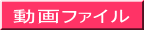 t@C 