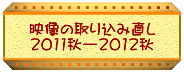 �f���̎�荞�ݒ��� 2011�H�[2012�H