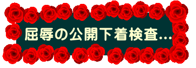 ���J�̌��J��������...