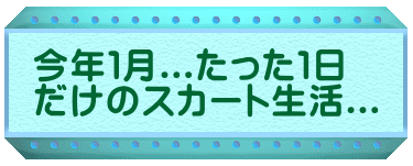 ���N�P��...�������P�� �����̃X�J�[�g����...