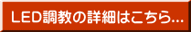 LED調教の詳細はこちら... 