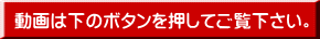 動画は下のボタンを押してご覧下さい。 