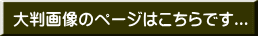 大判画像のページはこちらです...