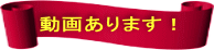 動画あります!