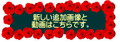 �V�����ǉ��摜�� ����͂�����ł��B 