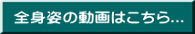 全身姿の動画はこちら...