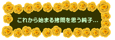 ���ꂩ��n�܂鍉����v�����q...