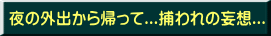 夜の外出から帰って...捕われの妄想...