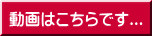 動画はこちらです...