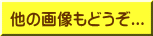 他の画像もどうぞ...