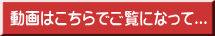 動画はこちらでご覧になって...