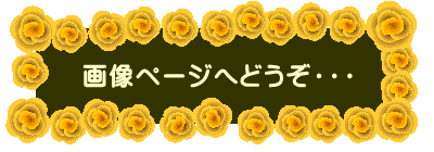 画像ページへどうぞ・・・