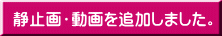 静止画・動画を追加しました。
