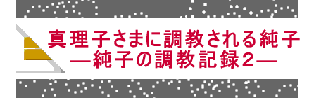 �@  �@�^���q���܂ɒ�������鏃�q �@     �@�\���q�̒����L�^�Q�\ 